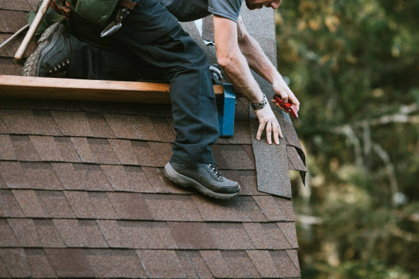 Best Storm Damage Roof Repair  in Trappe, PA